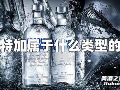 伏特加属于什么类型的酒？伏特加有多少种？