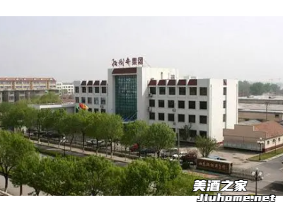 扳倒井集团图1