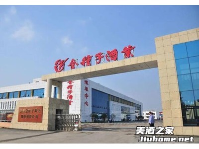 金种子酒业图1